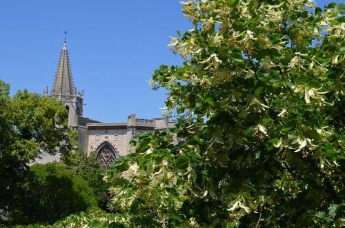 Hotel Splendid, Avignon