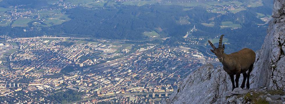 Hotel Charlotte, Innsbruck