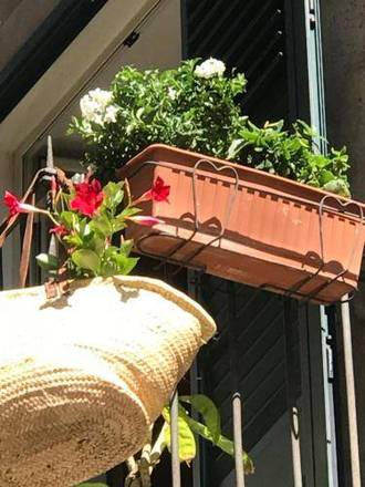 Nuovo Cortile Palermo Bed and Breakfast, Palermo